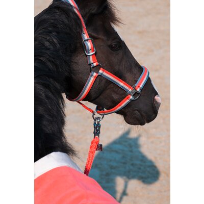 ESKADRON Classic Sports Halfter Double Pin