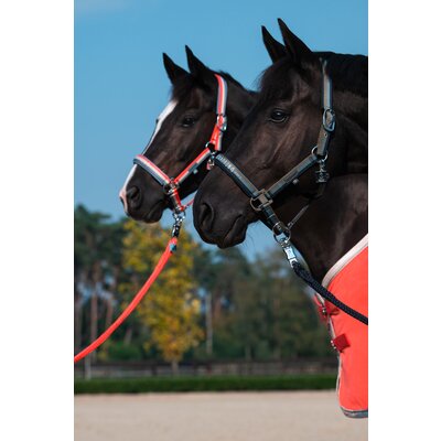 ESKADRON Classic Sports Halfter Double Pin