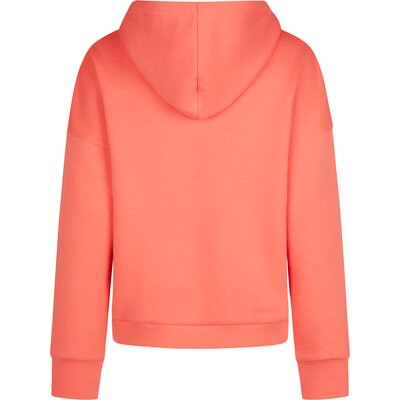 ESKADRON Classic Sports Hoodie – Ansicht 2