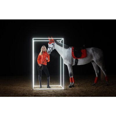 ESKADRON Dynamic Gamaschen Softshell, für Vorder- und Hinterbeine – Ansicht 3