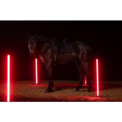 ESKADRON Dynamic Gamaschen Pro Dressage, für die Vorderbeine – Ansicht 2