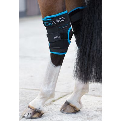 HORSEWARE Ice-Vibe Sprunggelenk-Gamaschen schwarz | WB