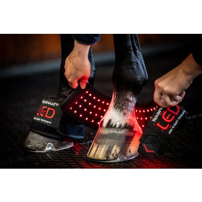 HORSEWARE Hufglocke LED Red Light Therapy