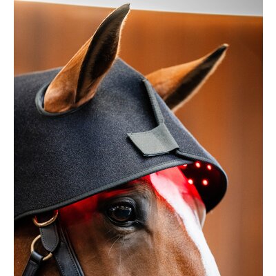 HORSEWARE Genickhaube LED Red Light Therapy black/black | Full