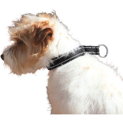 Hundehalsband Lucky schwarz | XL (62cm)