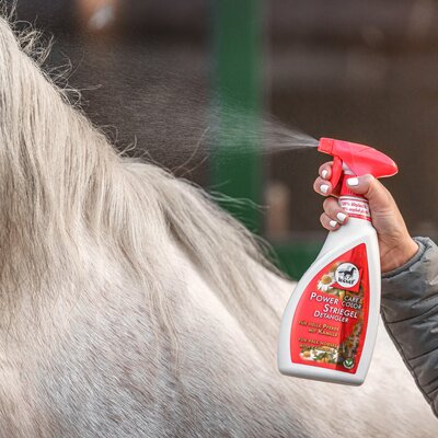 leovet Mähnenspray Power Striegel Kamille