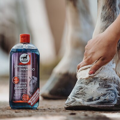 leovet Milton-Weiß Schimmel Shampoo