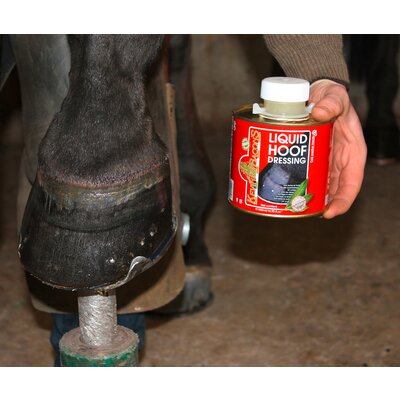 Kevin Bacon'S Liquid Hoof Dressing