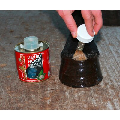 Kevin Bacon'S Liquid Hoof Dressing
