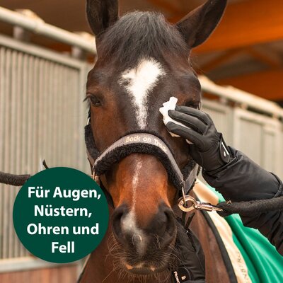 Equisept Universal Pflegetücher für Pferde