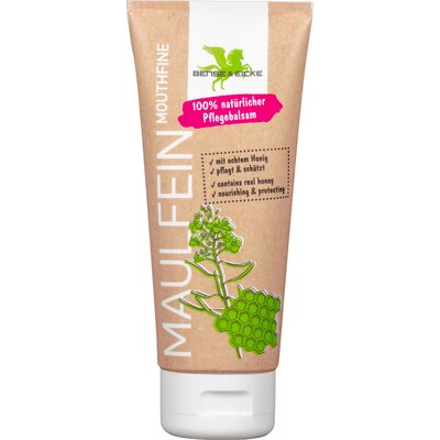 BENSE & EICKE Maulfein – Ansicht 1