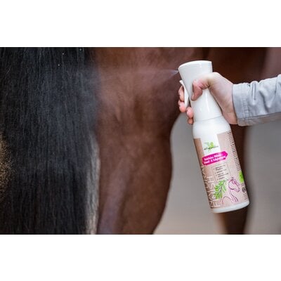 BENSE & EICKE Mähnen-, Schweif- & Fellglanzspray Natural Finish