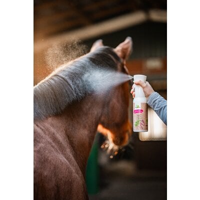 BENSE & EICKE Mähnen-, Schweif- & Fellglanzspray Natural Finish