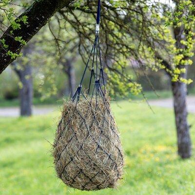 Loesdau Heunetz mit Ringen
