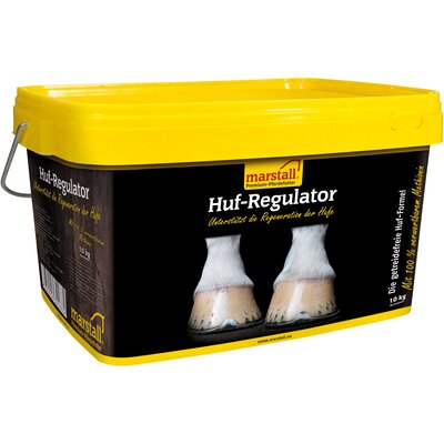 marstall Huf-Regulator