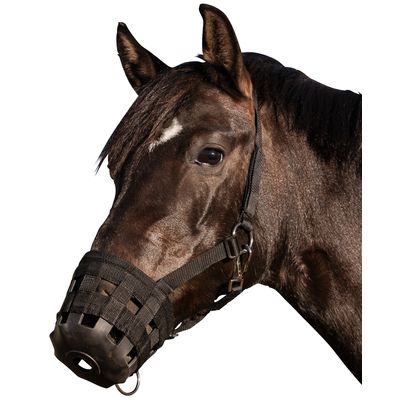 Horse-friends Weidemaulkorb mit PP-Webhalfter 