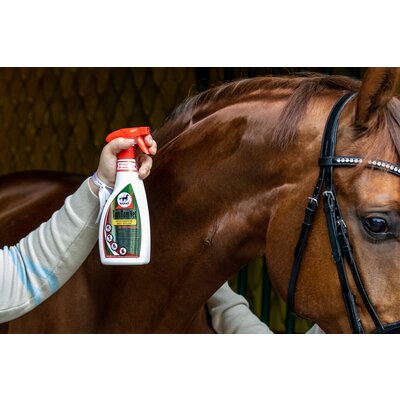 leovet TamTamVet – Ansicht 3