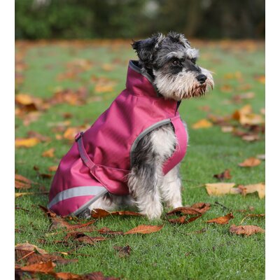 bucas Hundemantel Dog Rug Freedom 300 g – Ansicht 2