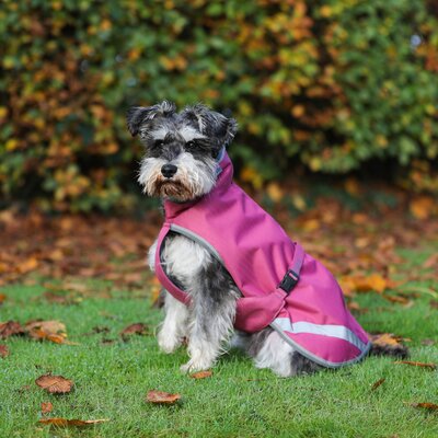 bucas Hundemantel Dog Rug Freedom 300 g – Ansicht 1