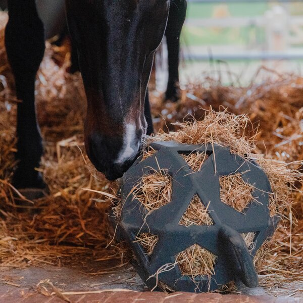 KENTUCKY Relax paarden speel- & hooi-bal grey