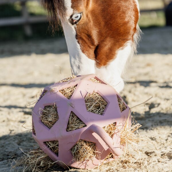 KENTUCKY Relax paarden speel- & hooi-bal old rose