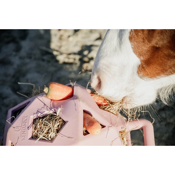 KENTUCKY Relax paarden speel- & hooi-bal old rose