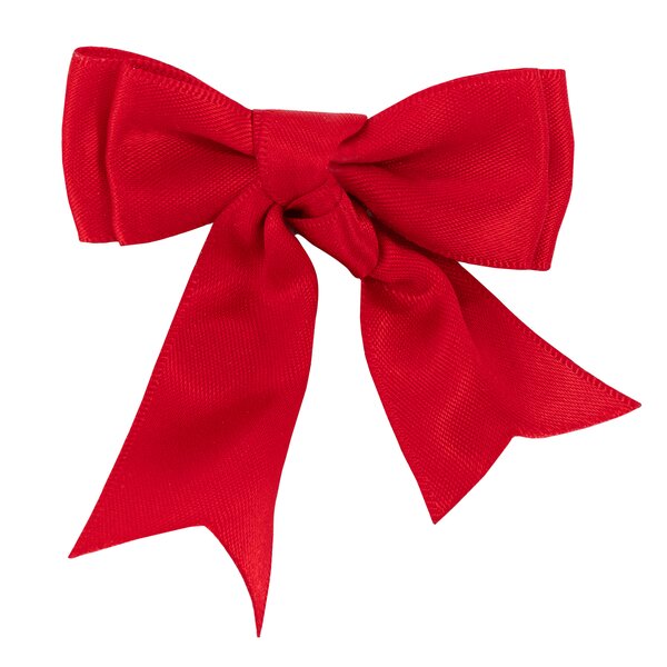 Horse-friends veiligheids-waarschuwingslus rood met clip red