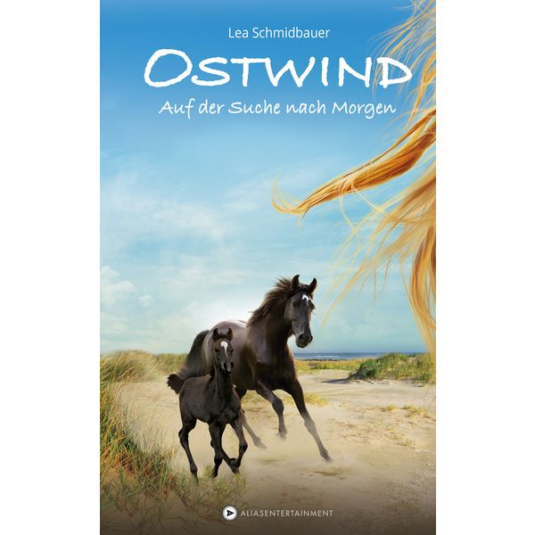 Ostwind - Band 4 