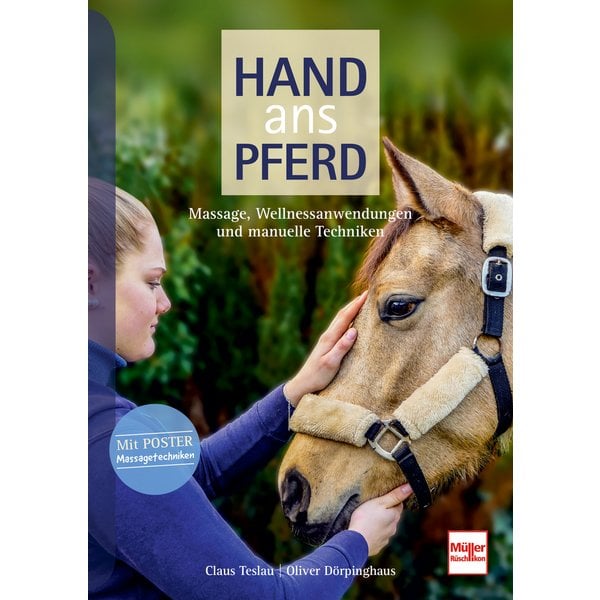 Hand ans Pferd - Massage, Wellnessanwendungen und manuelle Techniken 