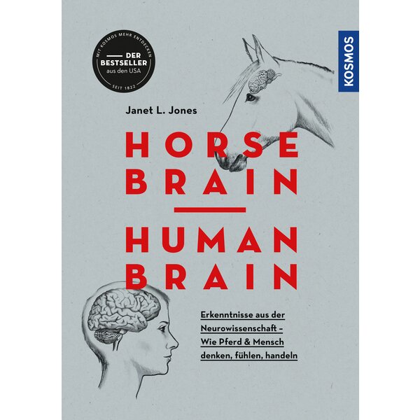 Horse Brain, Human Brain 