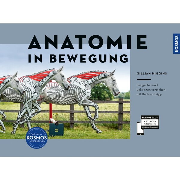 Anatomie in Bewegung - Gangarten und Lektionen verstehen 