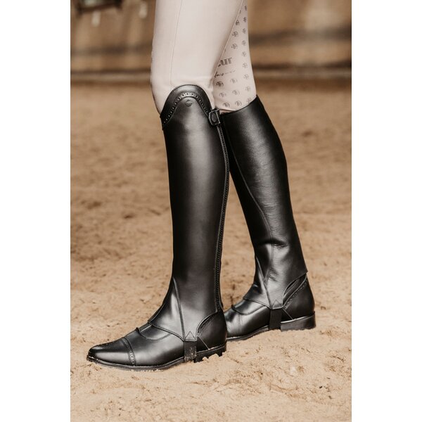 Königs chaps Premium Modena 