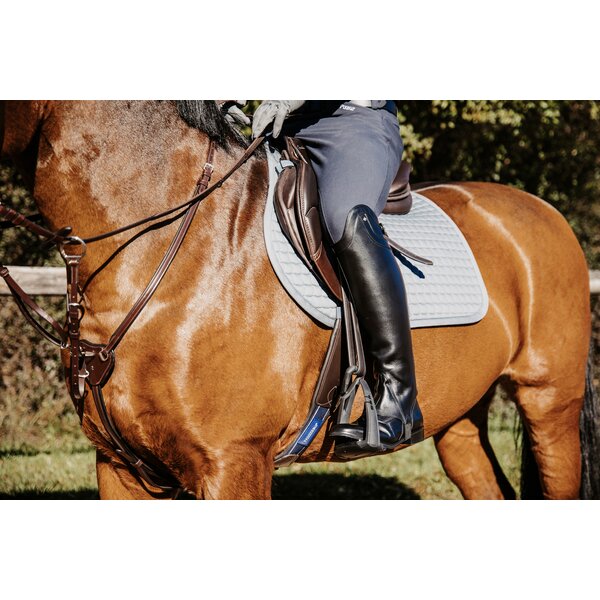 Königs chaps Luzern 