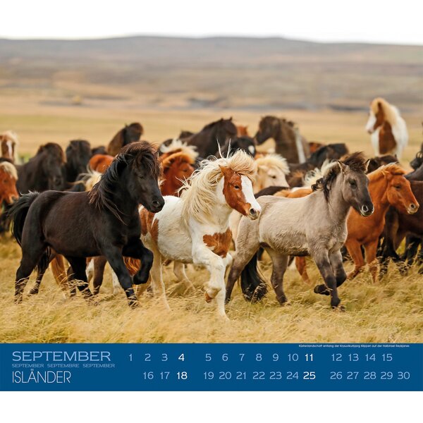 Kalender Isländer - Edition Boiselle 2023 - Kalender - Loesdau 