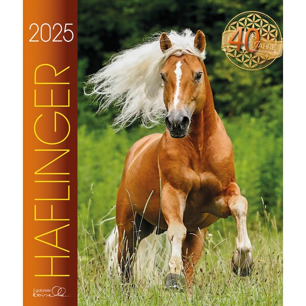 Kalender Haflinger - Edition Boiselle 2025 2025