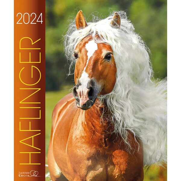 Kalender Haflinger - Edition Boiselle 2024