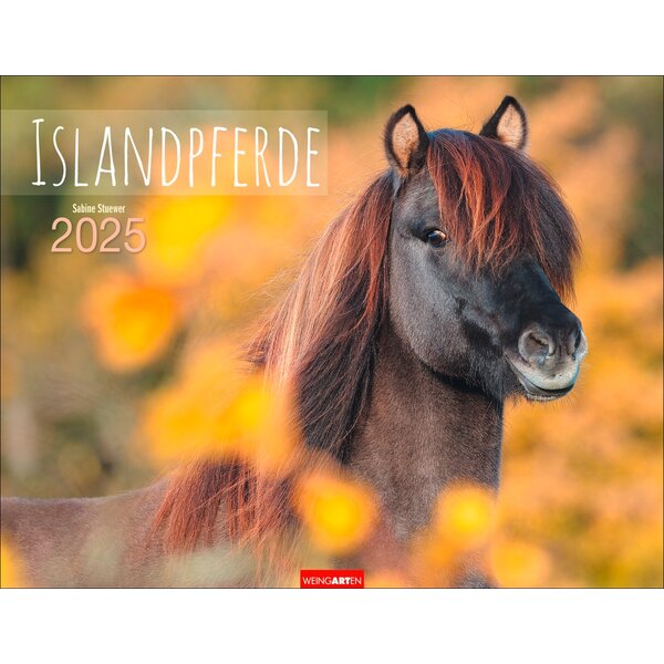 Kalender Islandpferde 2025