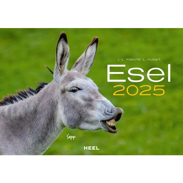 Kalender Esel 2025