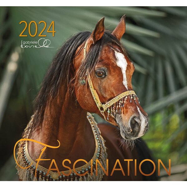 Kalender Fascination - Edition Boiselle 2024 2024