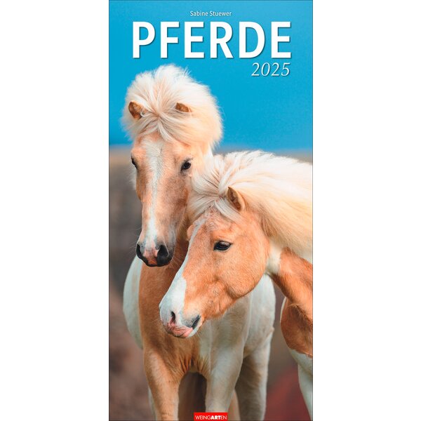 Kalender Pferde 2025 2025