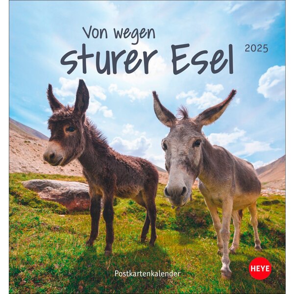 Postkartenkalender Esel 2025 2025