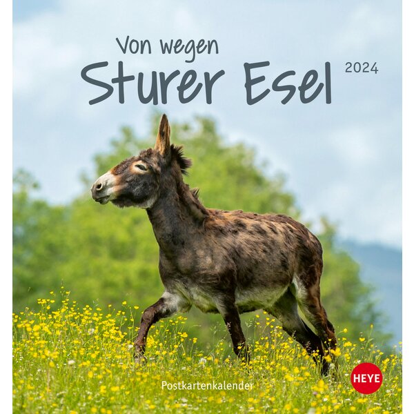 Postkartenkalender Esel 2024 2024