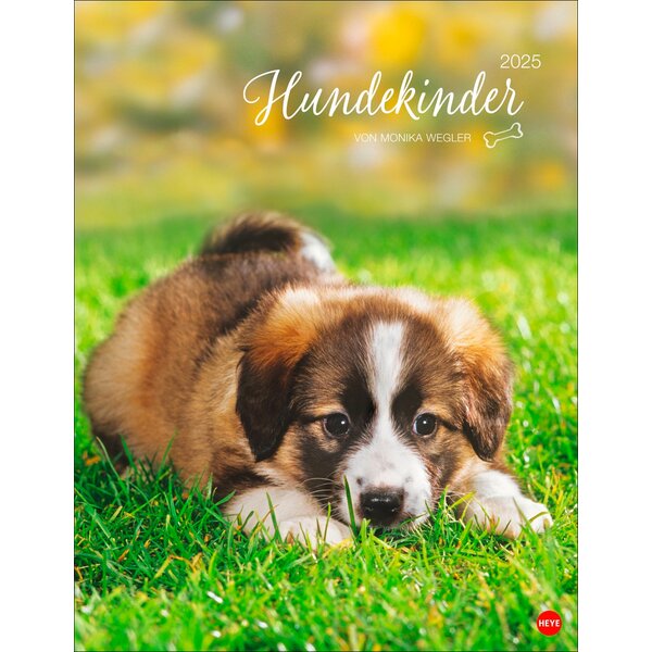 Posterkalender Hundekinder 2025 2025