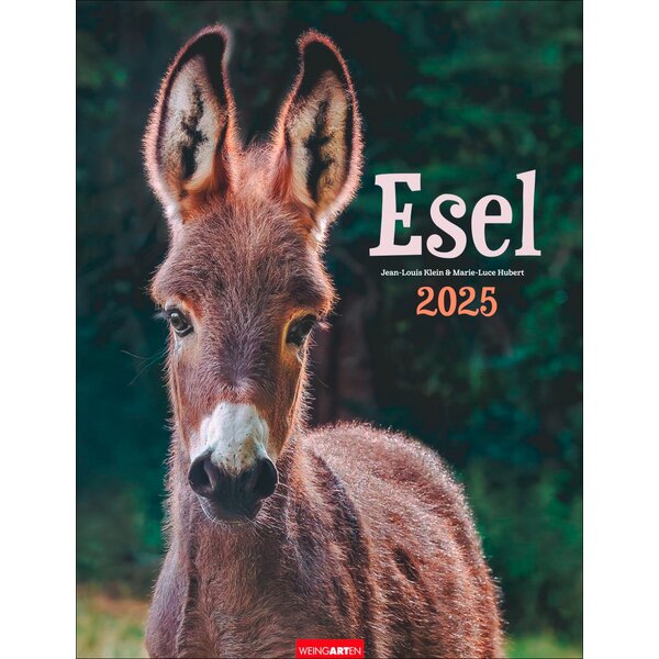 Kalender Esel 2025 2025