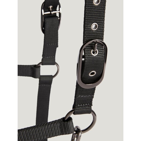 TOMMY HILFIGER EQUESTRIAN halsterset Yale Shine 