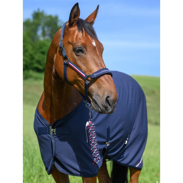 TOMMY HILFIGER EQUESTRIAN halster met halstertouw Lexington desert sky | Volbloed