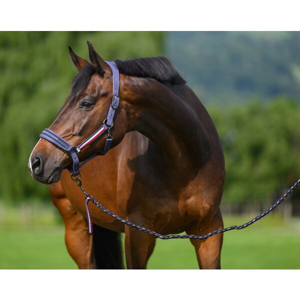 TOMMY HILFIGER EQUESTRIAN halster met halstertouw Lexington 
