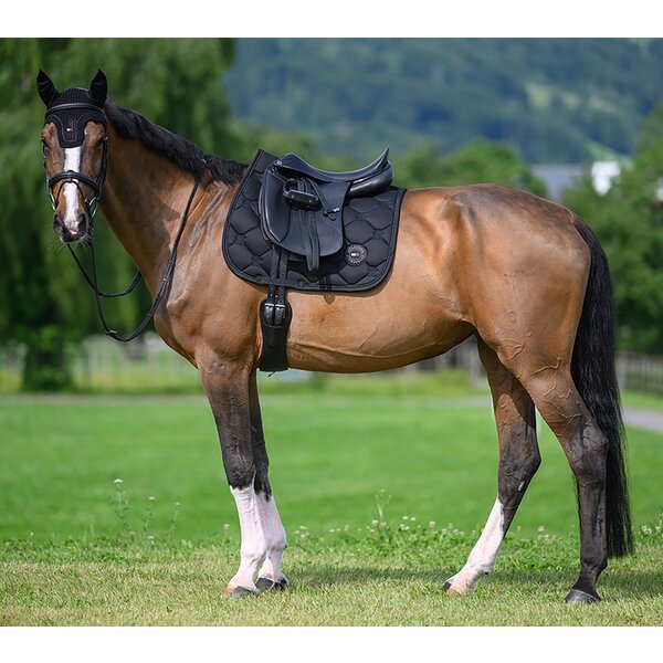 TOMMY HILFIGER EQUESTRIAN oornetje Emory desert sky | Warmbloed