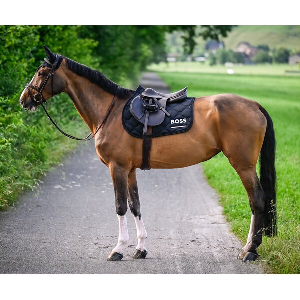 BOSS EQUESTRIAN vliegenmuts Calgary Tape 
