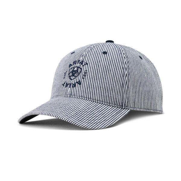 ARIAT pet Country unisex blue stripe | One size